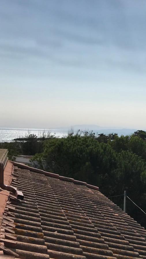 Vias Plage : Residence Securisee Bord De Mer 외부 사진